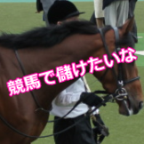 プロフィール